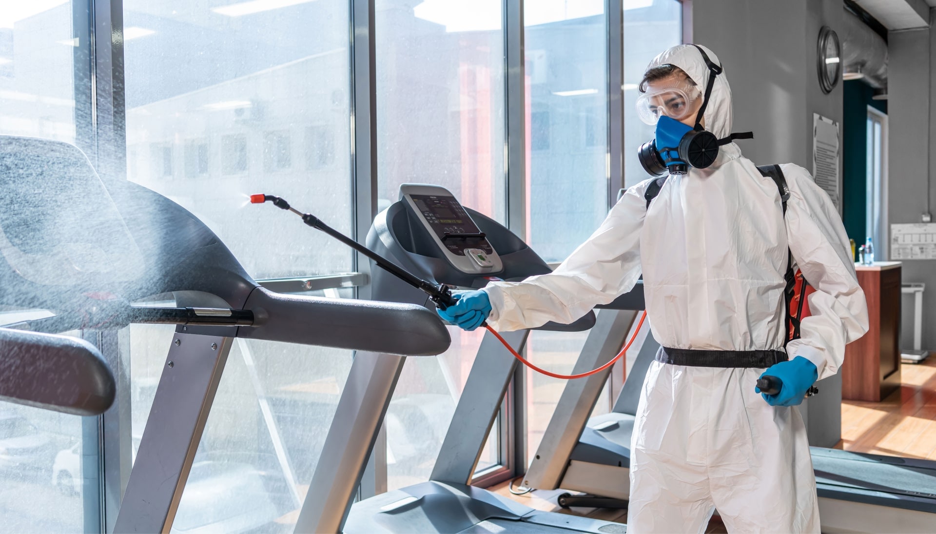 Commercial Mold Removal Services in Los Angeles