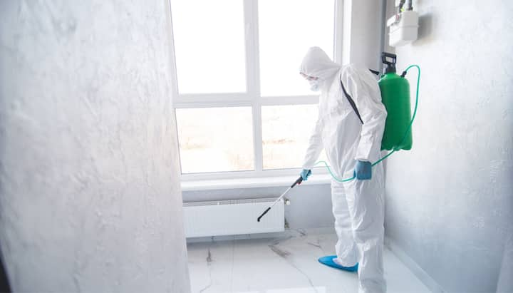 Mold Inspection Services in Los Angeles